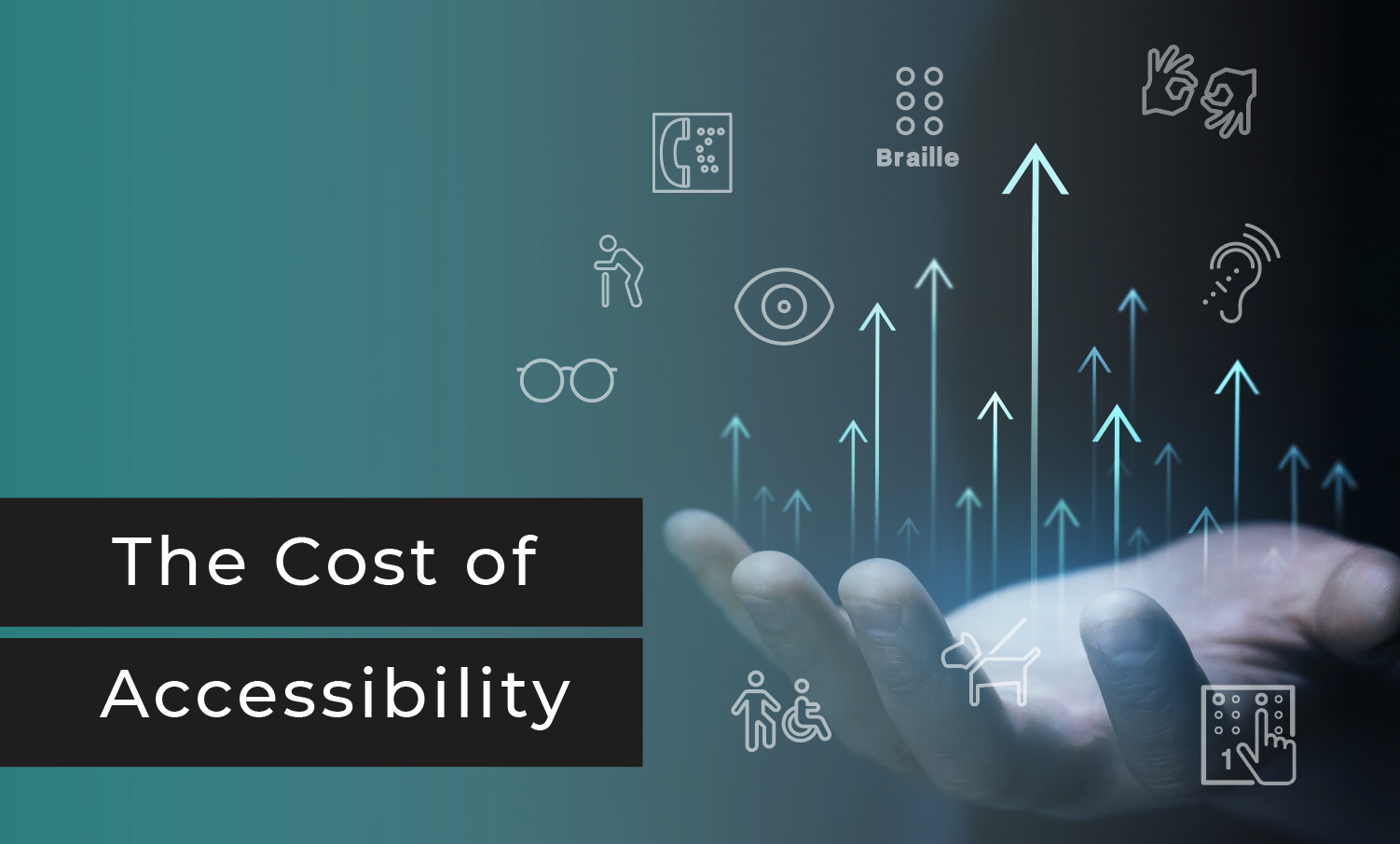 The Cost of Accessibility